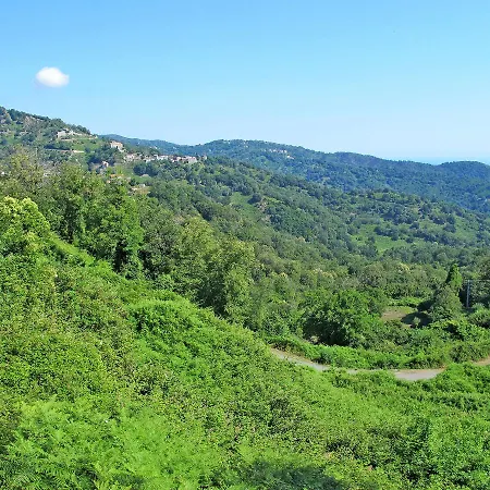 Domaine Pevecchio 350s Apartman *